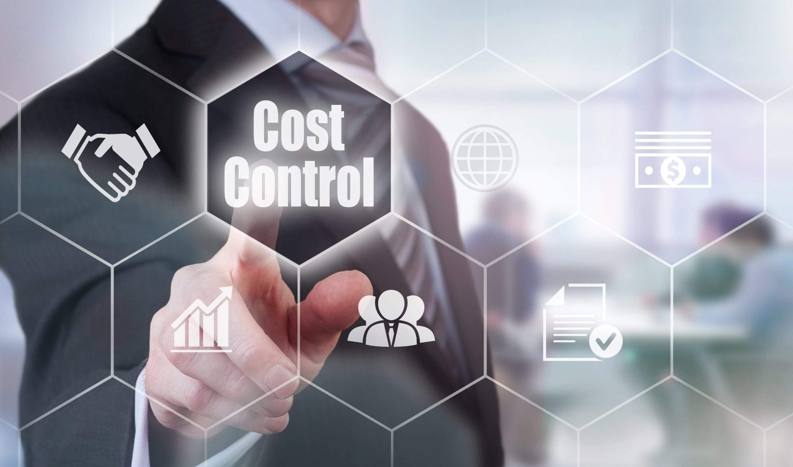 Cost-saving Strategies in Implementing IT Solutions